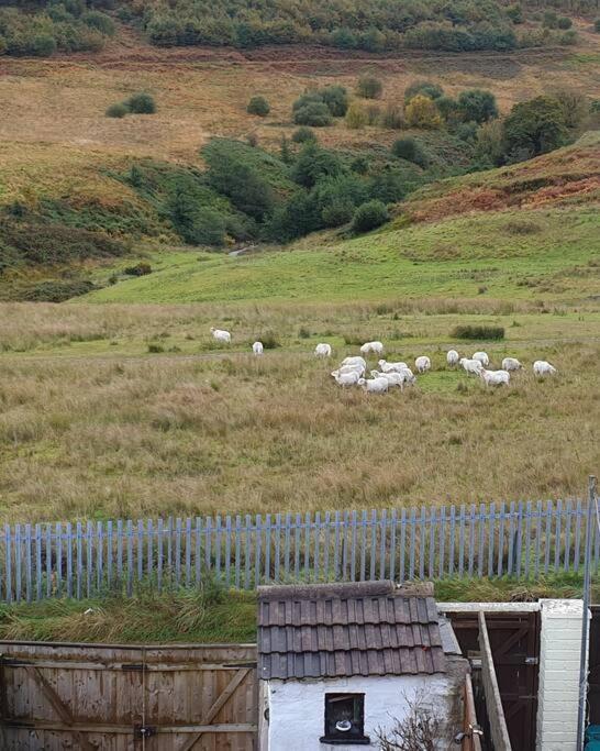 Welsh Miners Cottage Four Bedroom House Treherbert Exterior foto